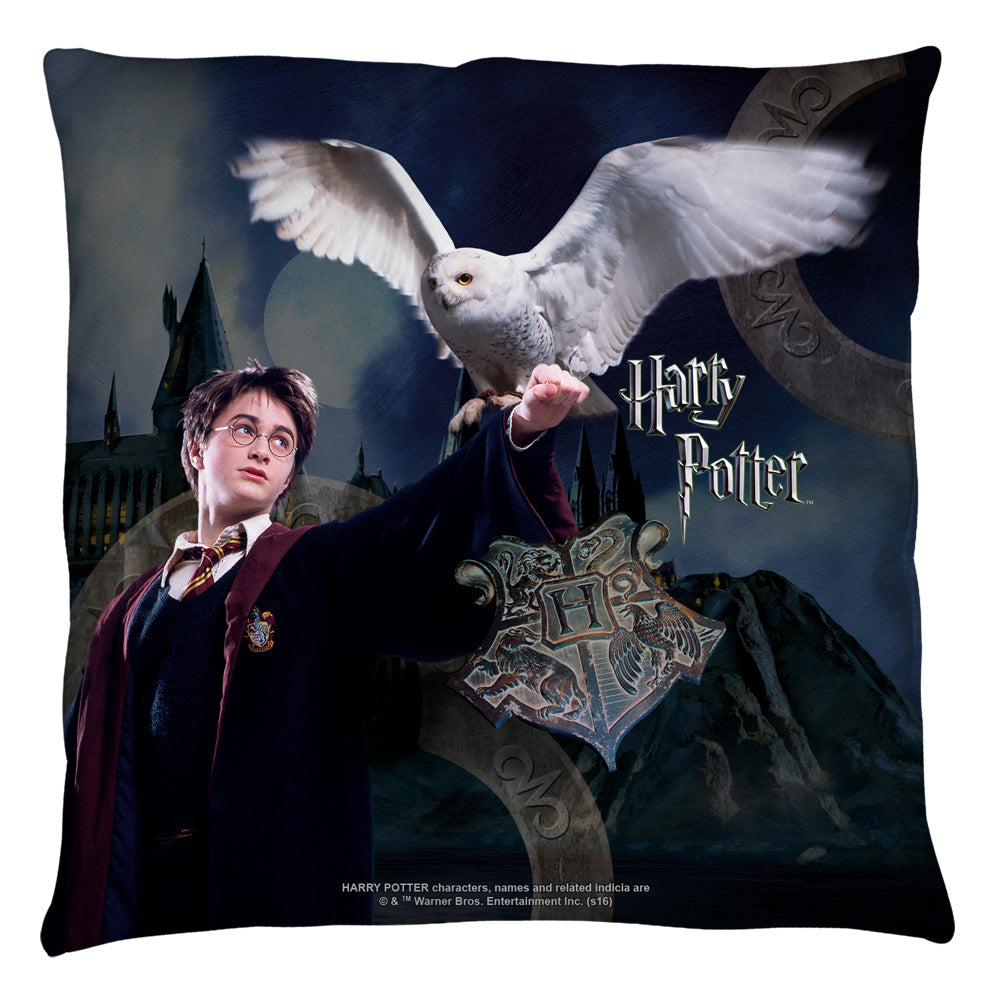 Harry Potter Harry and Hedwig Throw Pillow | Blue Culture Tees