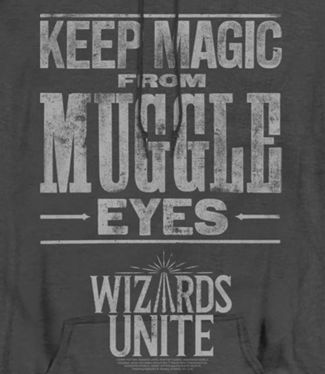 Harry Potter Wizards Unite Hidden Magic Heather Pullover Hoodie