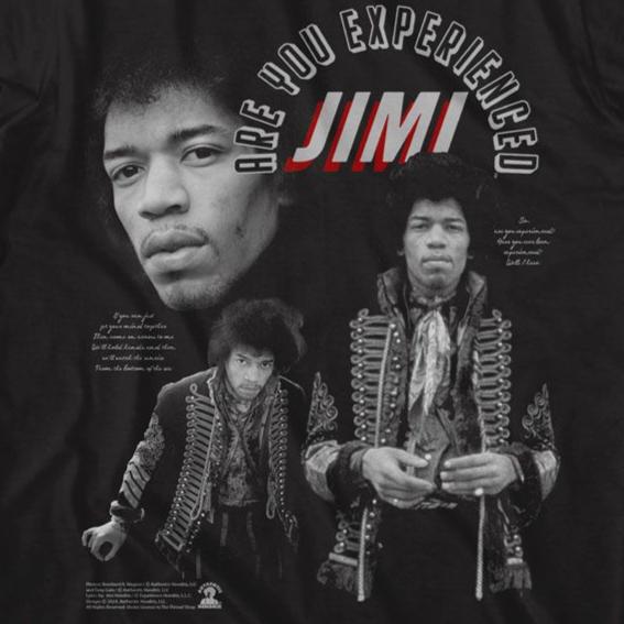 Jimi Hendrix Are You Experienced 2 T-Shirt | Blue Culture Tees