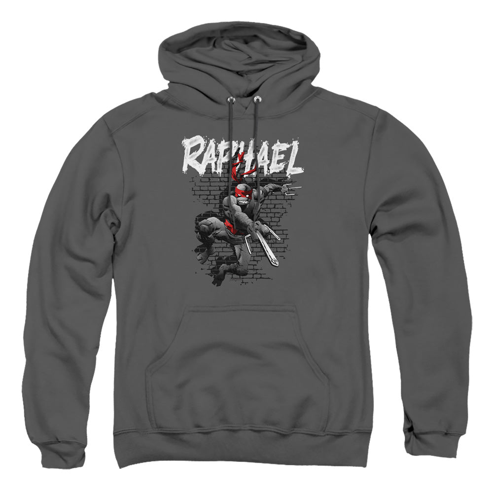 Teenage Mutant Ninja Turtles Raphael Pullover Hoodie | Blue Culture Tees