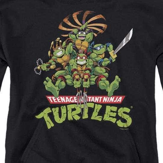 Youth Teenage Mutant Ninja Turtles Manga Turtles Pullover Hoodie | Blue Culture Tees