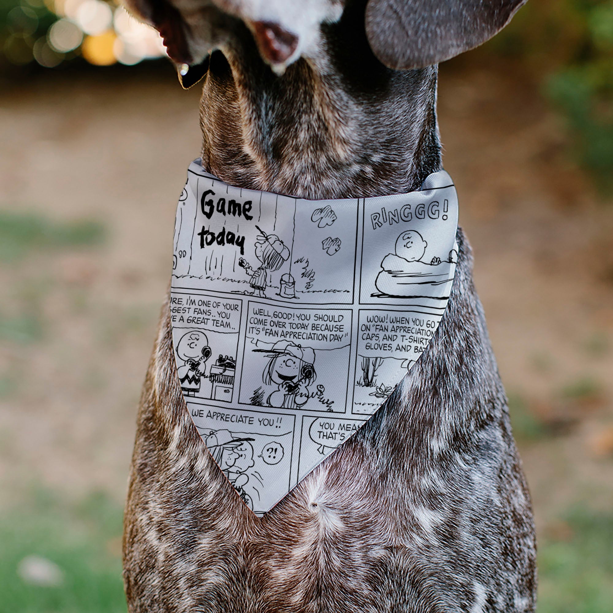 Pet Bandana - PEANUTS Good Ol Charlie Brown Comic Scene Blocks White/Black