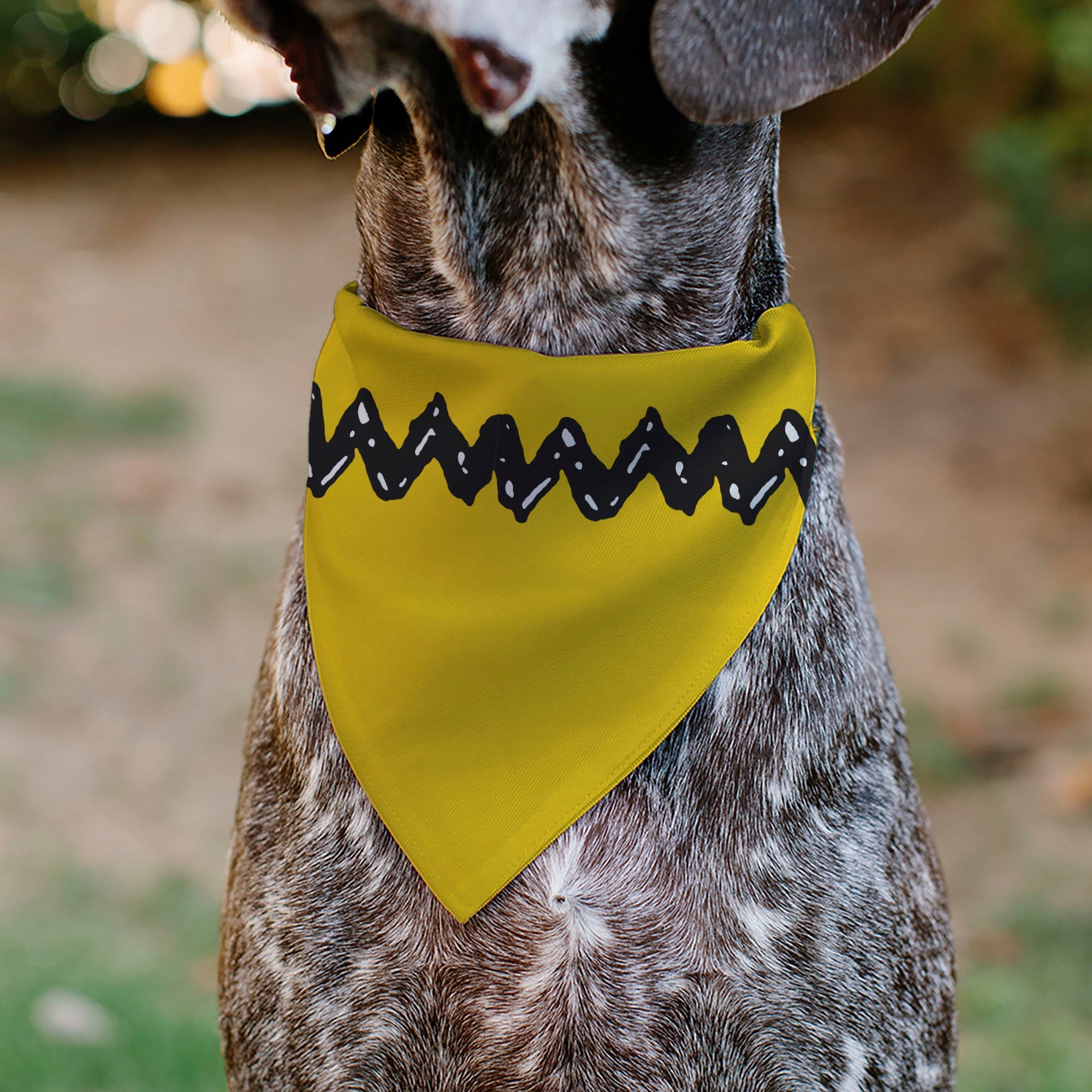 Pet Bandana - Peanuts Charlie Brown Zig Zag Stripe Yellow/Black