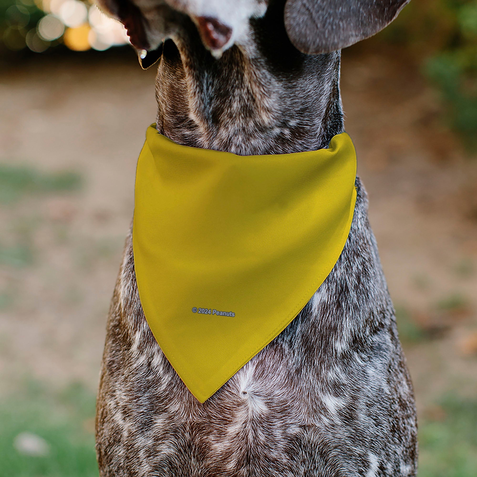 Pet Bandana - Peanuts Charlie Brown Zig Zag Stripe Yellow/Black