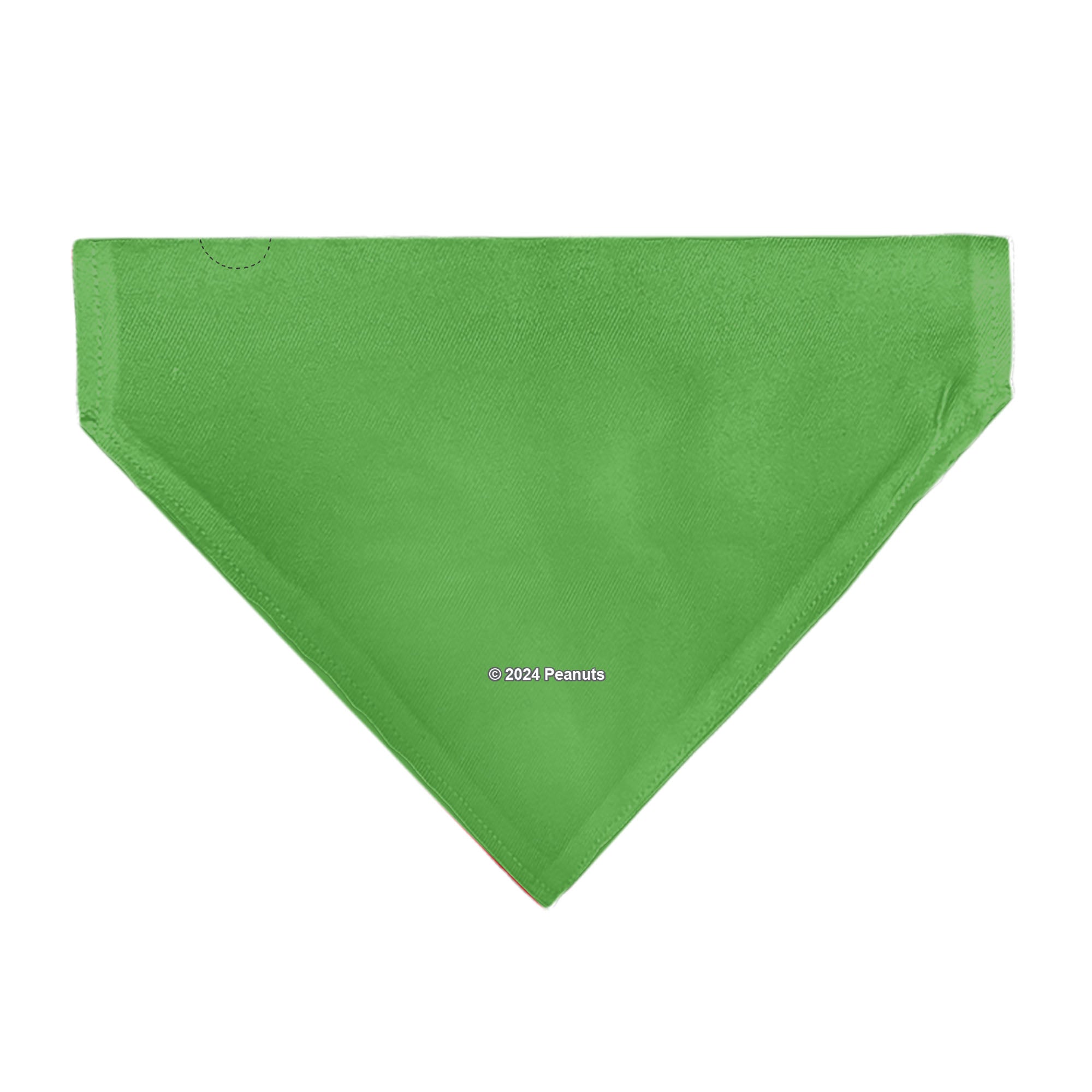 Pet Bandana - Peanuts Gang Group Pose Green