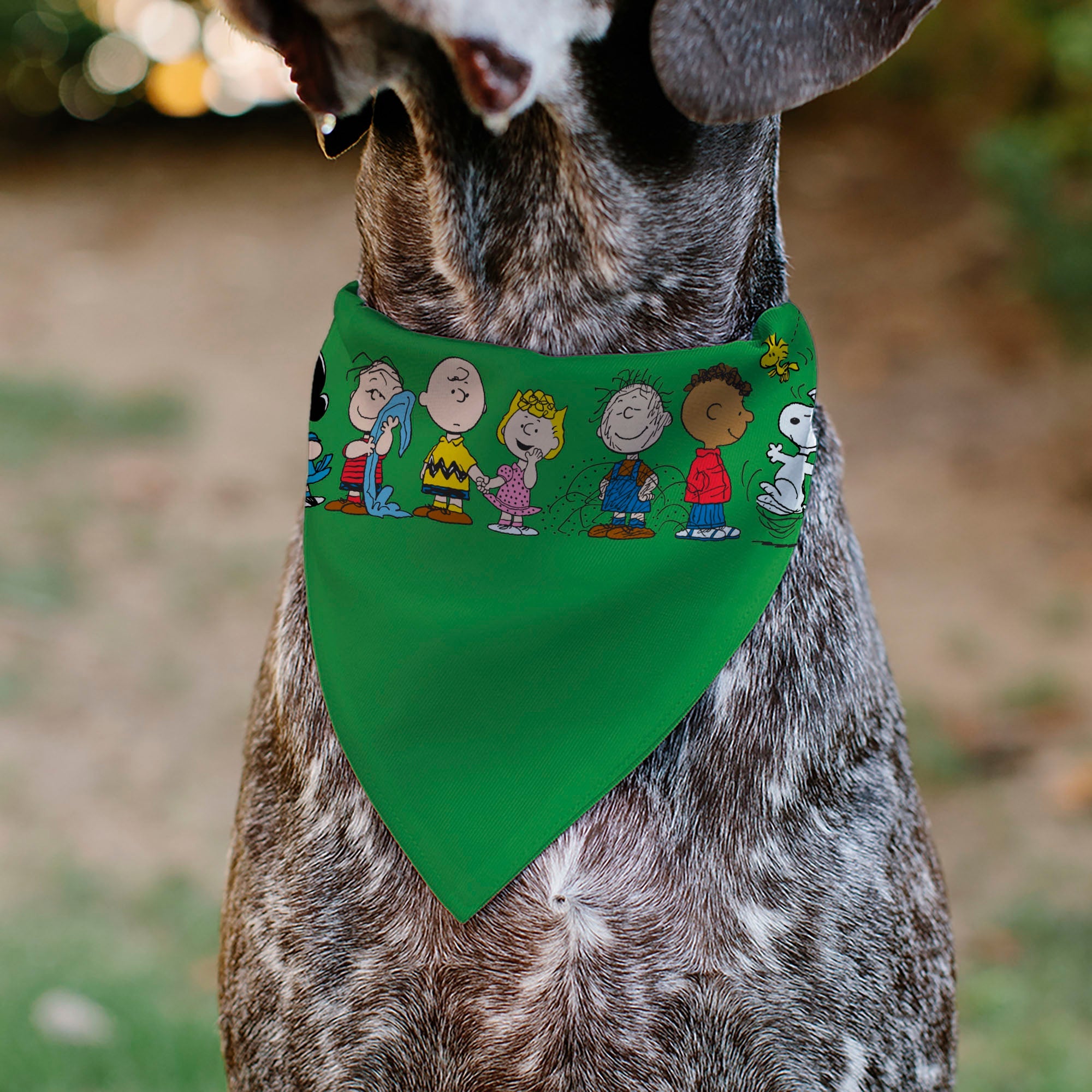 Pet Bandana - Peanuts Gang Group Pose Green