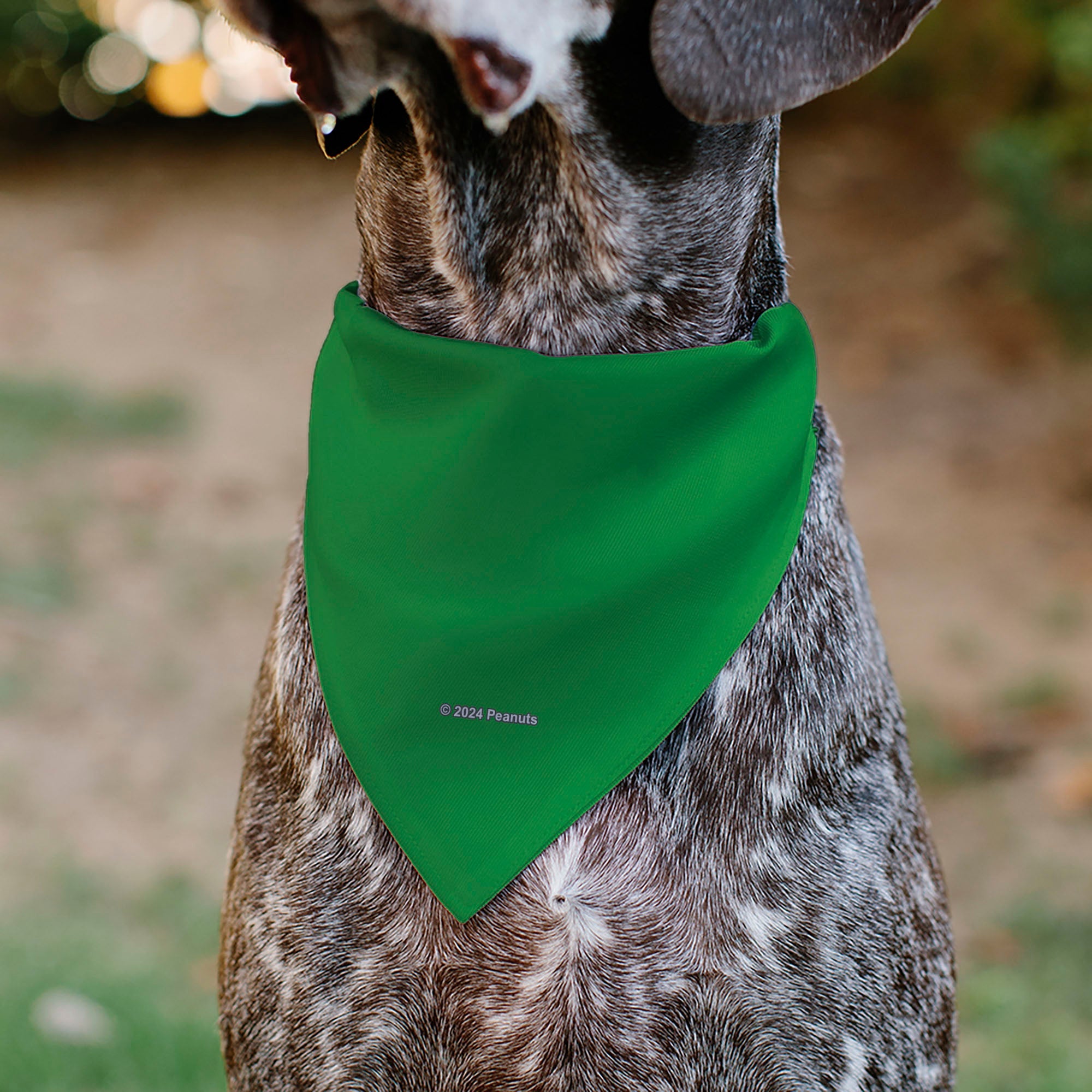 Pet Bandana - Peanuts Gang Group Pose Green