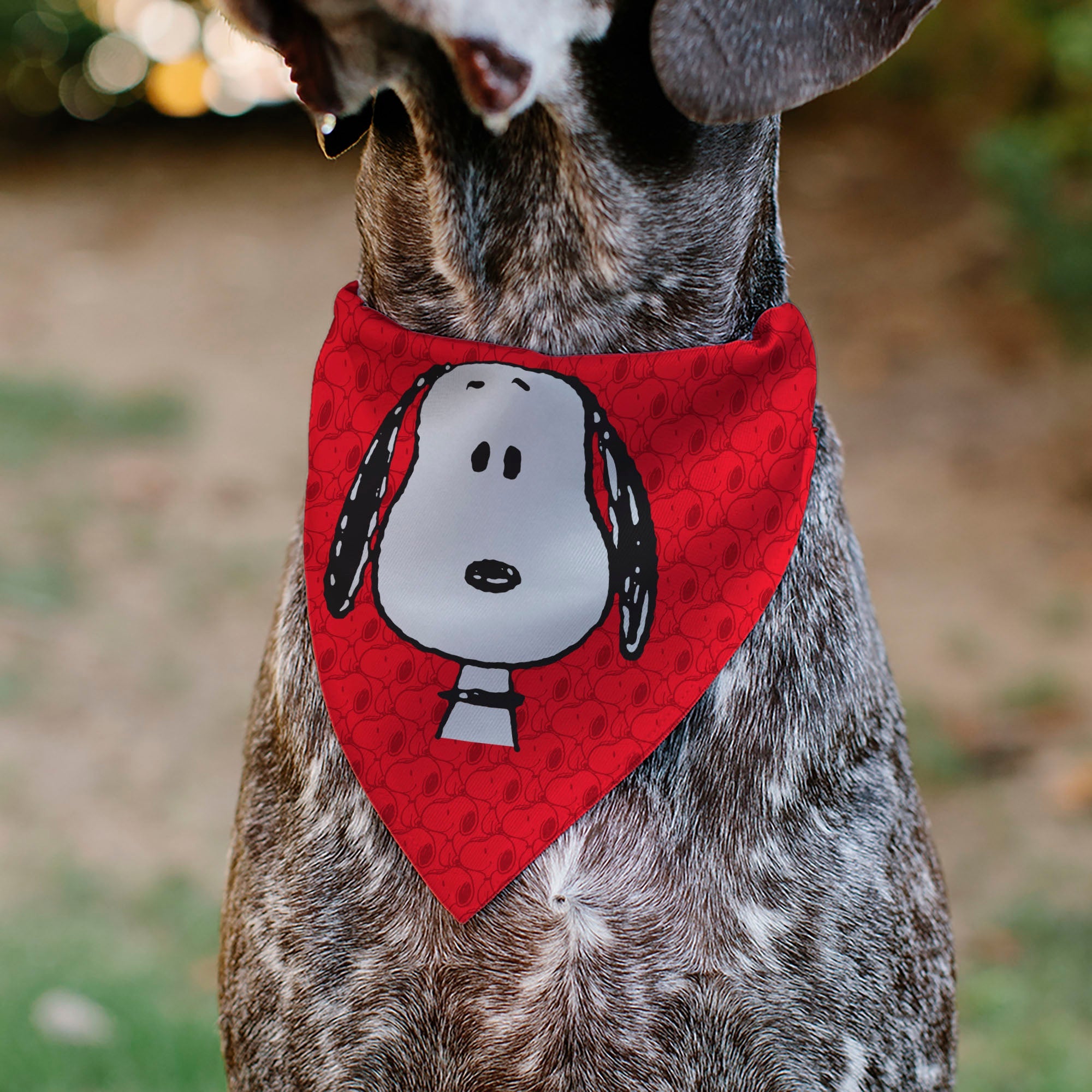 Pet Bandana - Peanuts Snoopy Face and Profile Pose Reds