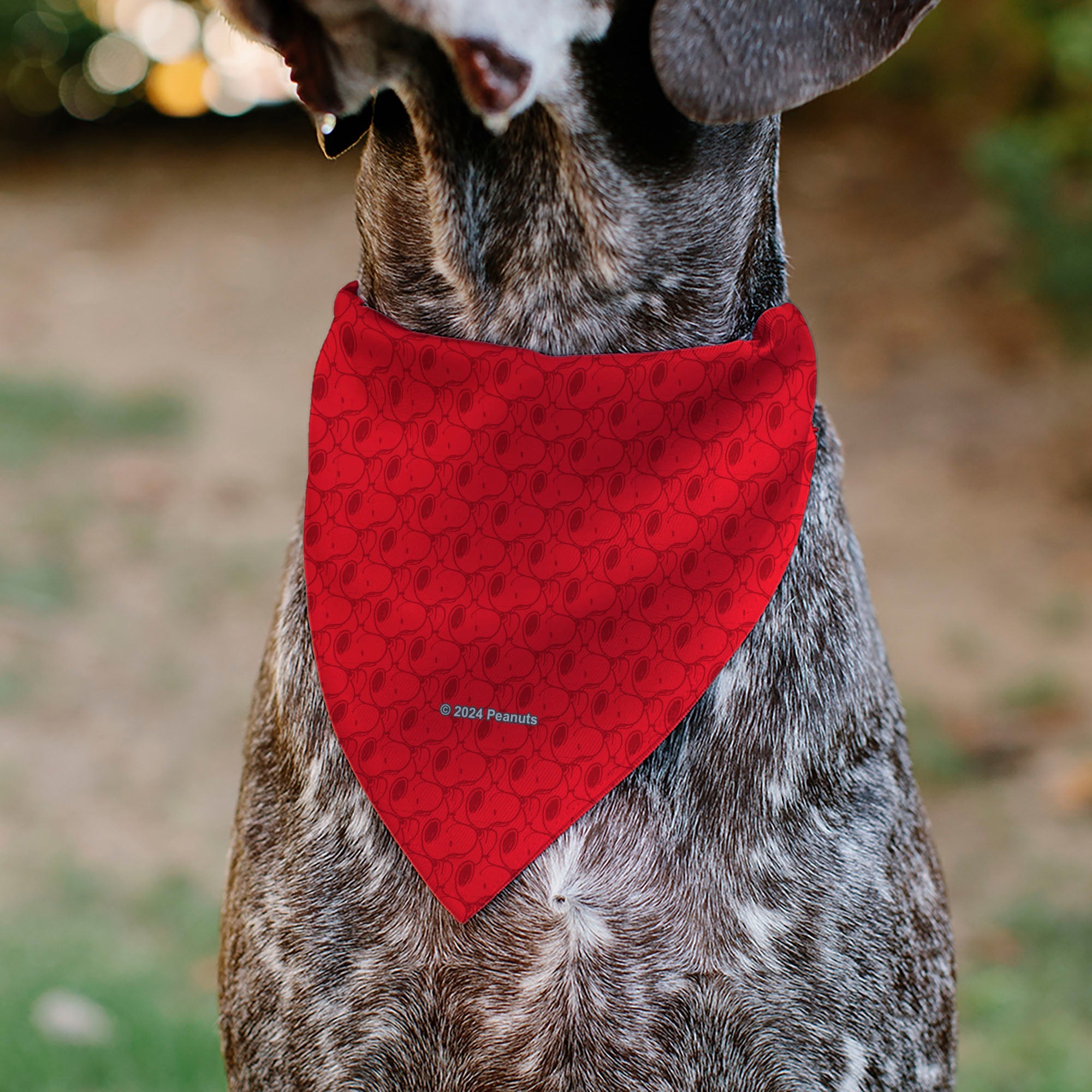 Pet Bandana - Peanuts Snoopy Face and Profile Pose Reds