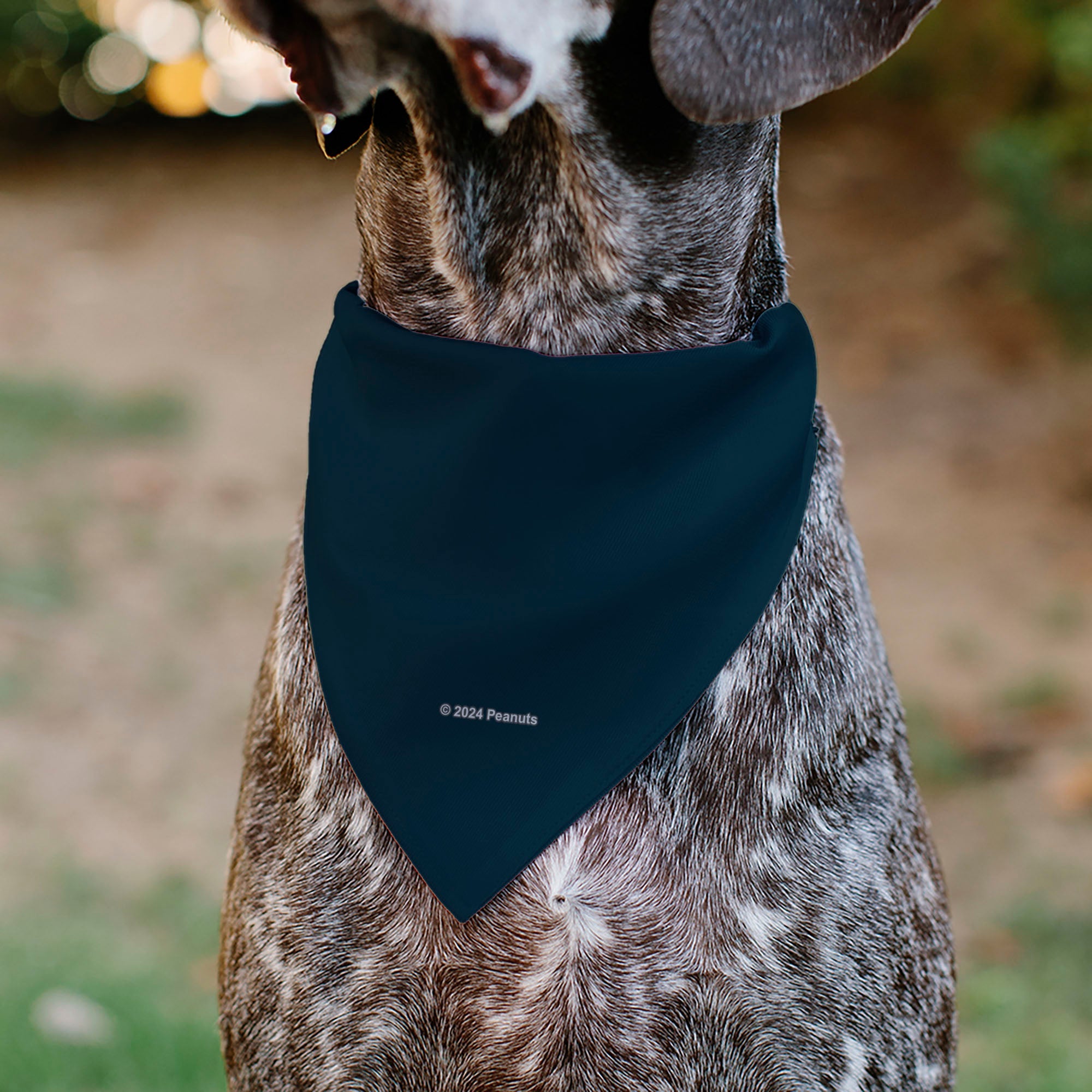 Pet Bandana - Peanuts Astronaut Snoopy I NEED MY SPACE Pose Blue