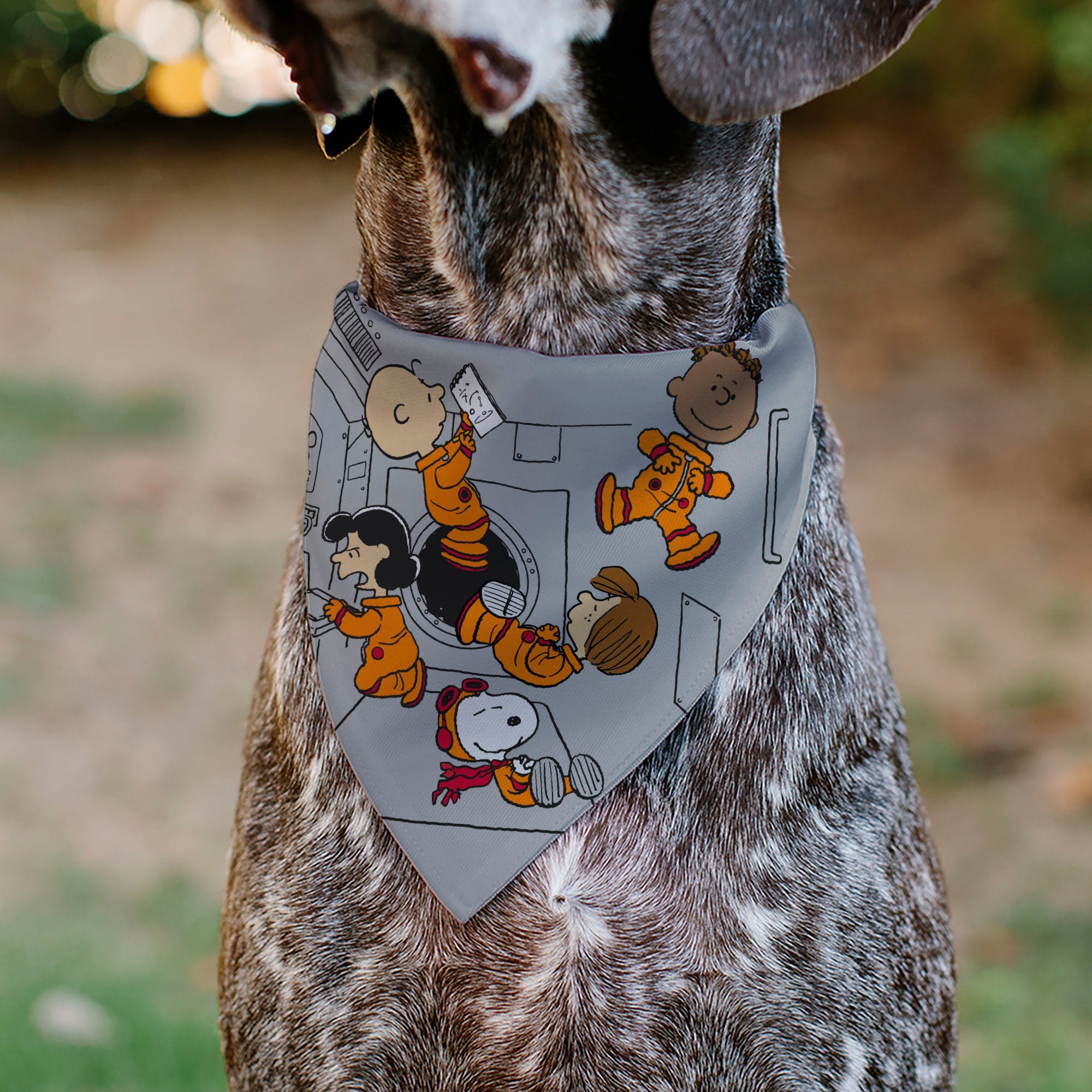 Pet Bandana - Peanuts Gang Floating Astronauts Group Pose Gray