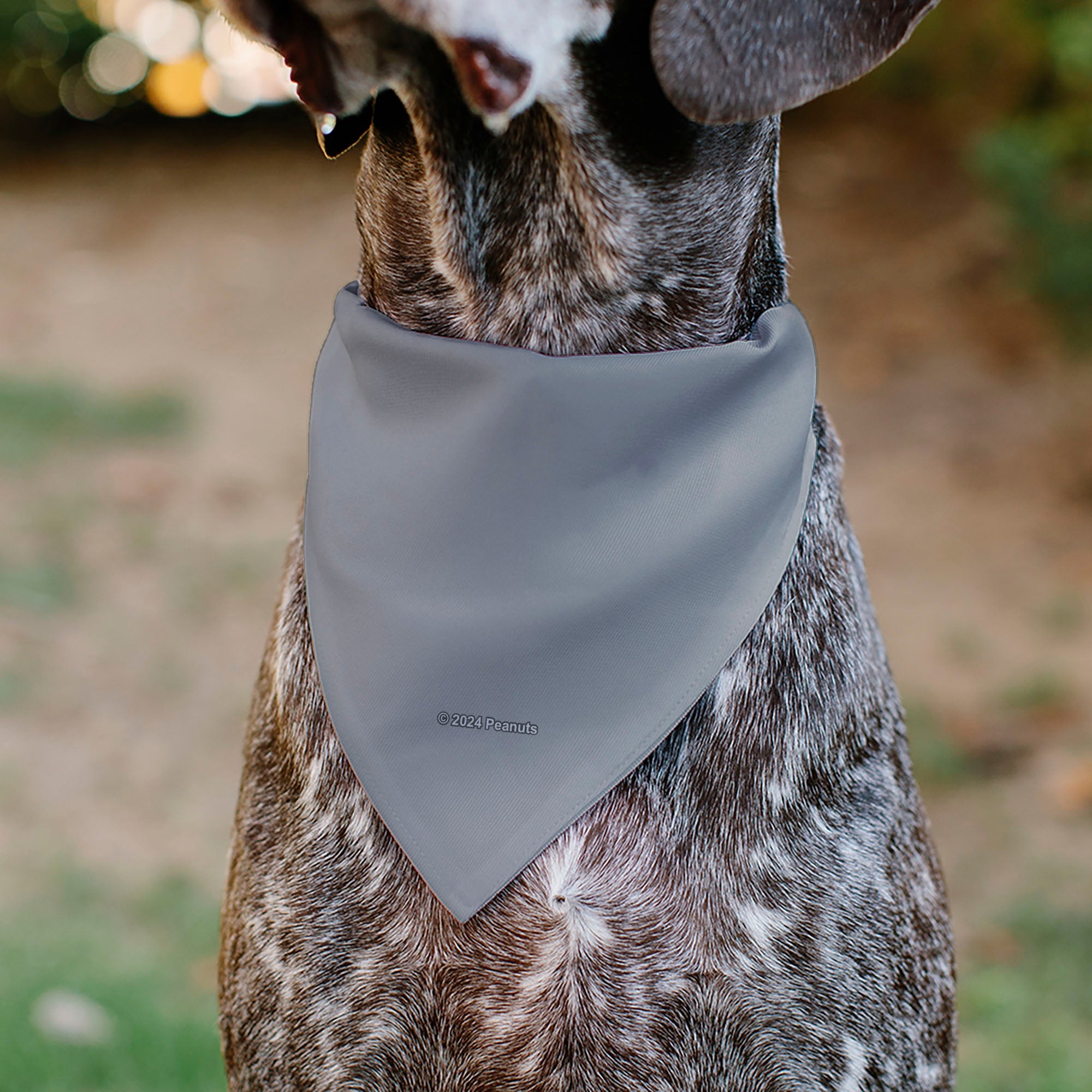 Pet Bandana - Peanuts Gang Floating Astronauts Group Pose Gray