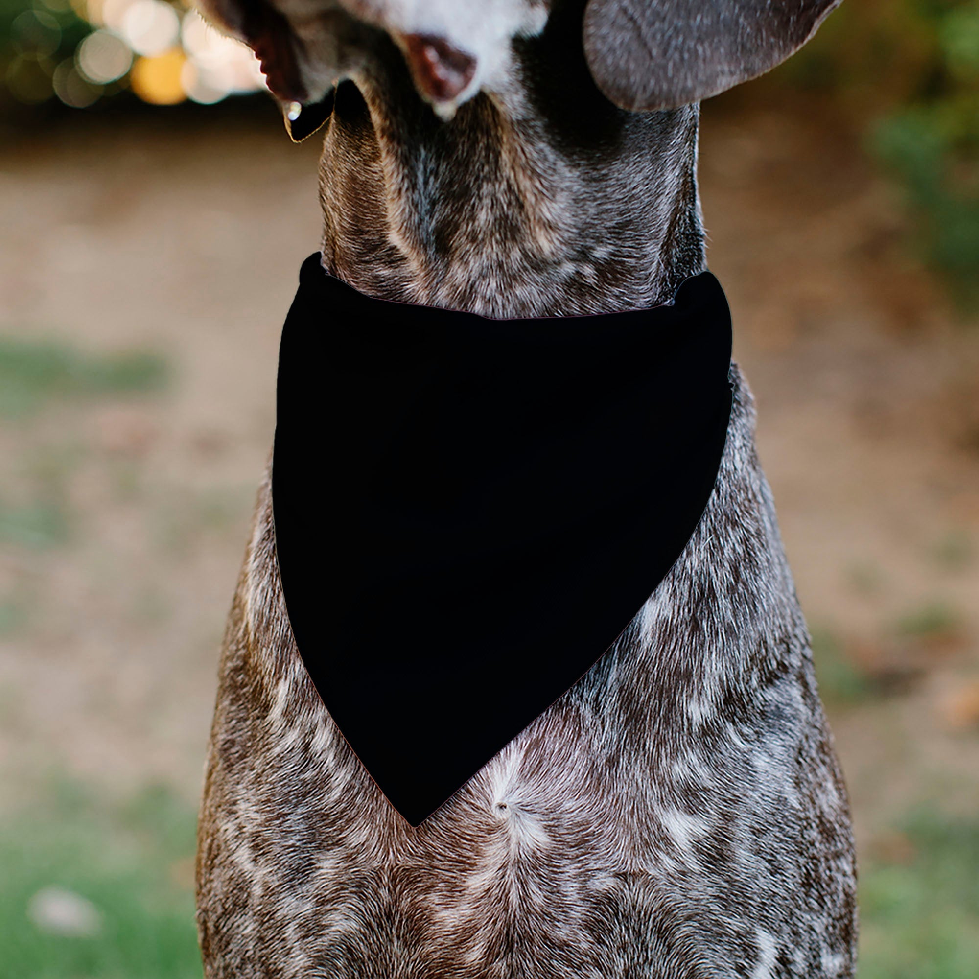 Pet Bandana - Nightmare Before Christmas ZERO Smiling Pose Black/White