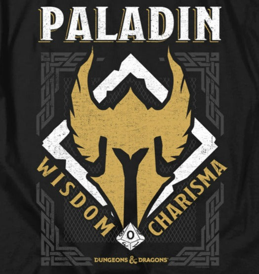 Dungeons and Dragons Paladin T-Shirt