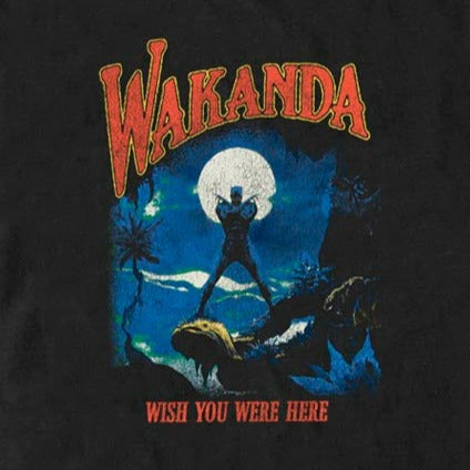 Men's Marvel Visit Wakanda T-Shirt