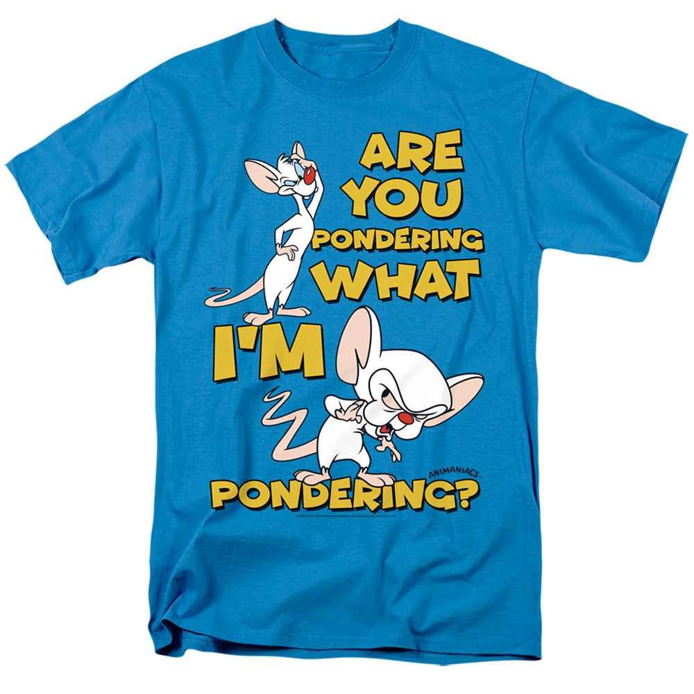 Men's Pinky And The Brain Pondering Tee